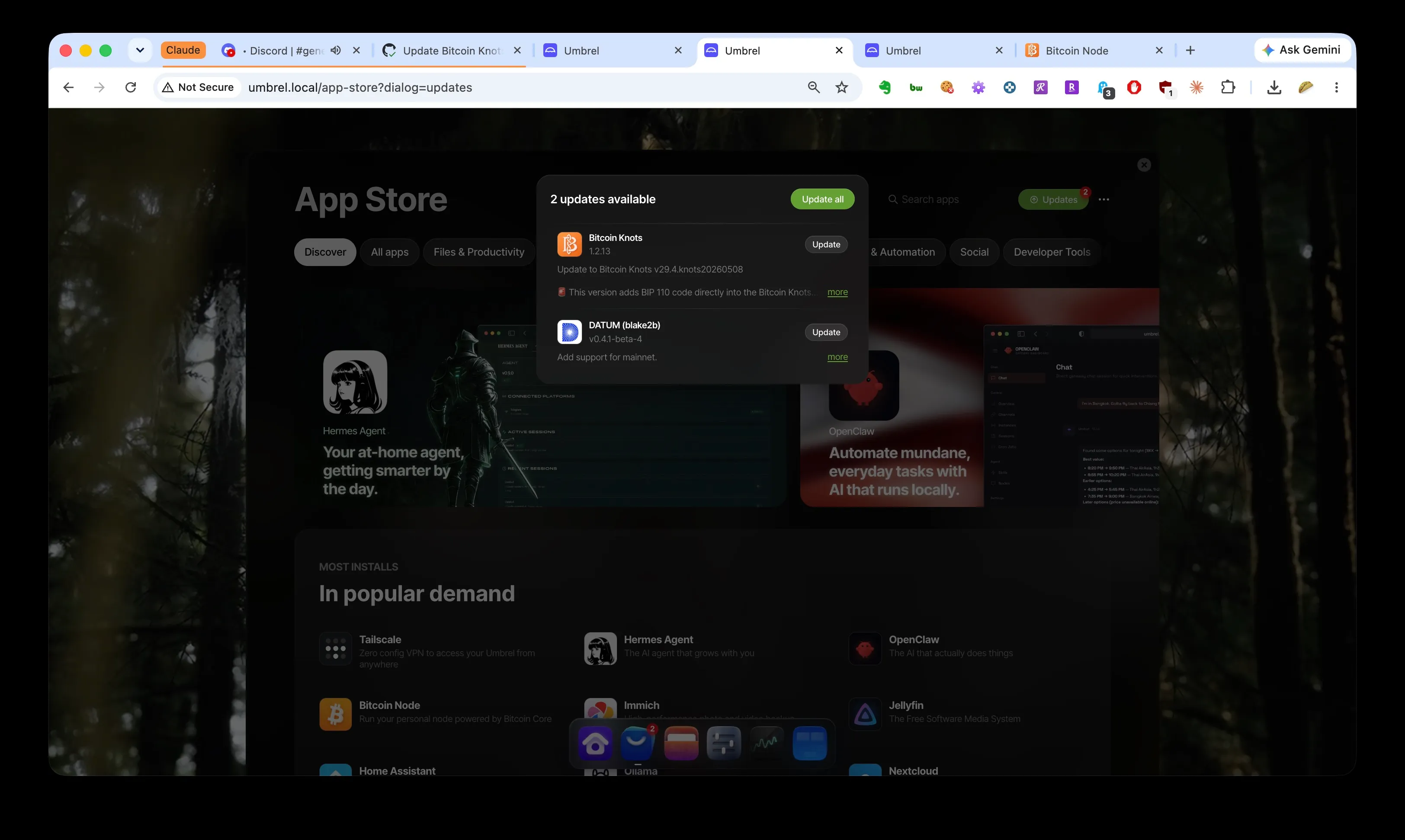 The Umbrel updates dialog now offering Bitcoin Knots 1.2.13 as an "update", alongside the DATUM (blake2b) update